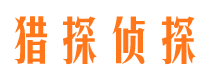 云龙市调查公司